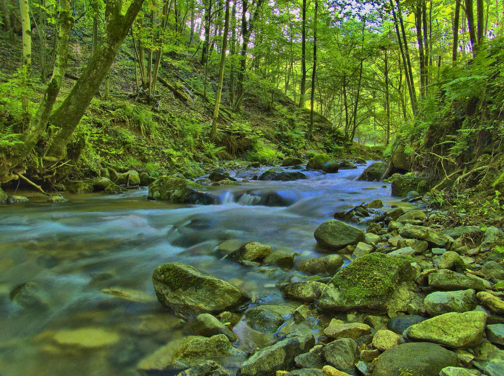 Un torrente gonfio di pioggia